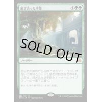 [EX+]過ぎ去った季節/Seasons Past《英語》【SOI】