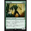 下生えの勇者/Undergrowth Champion《日本語》【BFZ】