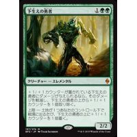 下生えの勇者/Undergrowth Champion《日本語》【BFZ】