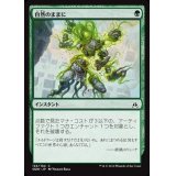 自然のままに/Natural State《日本語》【OGW】