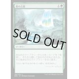 森の占術/Sylvan Scrying《日本語》【BFZ】