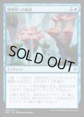 珊瑚兜への撤退/Retreat to Coralhelm《日本語》【BFZ】