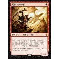 [EX+]竜使いののけ者/Dragonmaster Outcast《日本語》【BFZ】