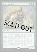 ムラーサの緑守り/Greenwarden of Murasa《日本語》【BFZ】