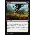 [EX+]闇の掌握/Grasp of Darkness《日本語》【OGW】