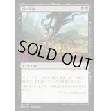 闇の掌握/Grasp of Darkness《日本語》【OGW】