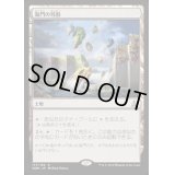 海門の残骸/Sea Gate Wreckage《英語》【OGW】