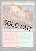 [EX]燃えがらの林間地/Cinder Glade《日本語》【BFZ】