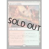 燃えがらの林間地/Cinder Glade《日本語》【BFZ】