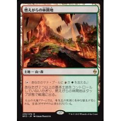 画像1: [EX+]燃えがらの林間地/Cinder Glade《日本語》【BFZ】