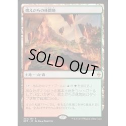 画像1: 燃えがらの林間地/Cinder Glade《英語》【BFZ】