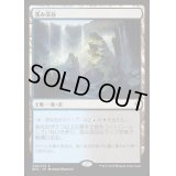 窪み渓谷/Sunken Hollow《日本語》【BFZ】