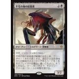 不毛の地の絞殺者/Wasteland Strangler《日本語》【BFZ】