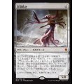 [EX]忘却蒔き/Oblivion Sower《日本語》【BFZ】