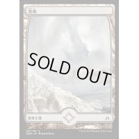 [EX+](灰)荒地/Wastes《英語》【OGW】