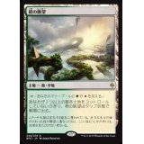[EX+]梢の眺望/Canopy Vista《英語》【BFZ】
