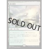 梢の眺望/Canopy Vista《日本語》【BFZ】