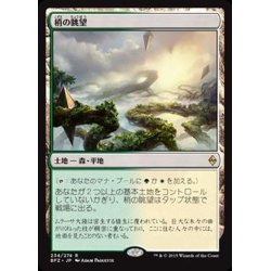 画像1: [EX+]梢の眺望/Canopy Vista《英語》【BFZ】