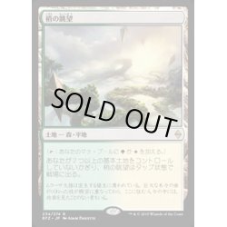 画像1: [EX+]梢の眺望/Canopy Vista《日本語》【BFZ】