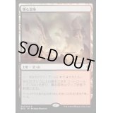 燻る湿地/Smoldering Marsh《英語》【BFZ】