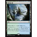 [EX+]伐採地の滝/Lumbering Falls《日本語》【BFZ】