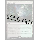 [PLD]花盛りの湿地/Blooming Marsh《日本語》【KLD】