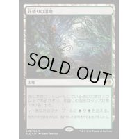 [PLD]花盛りの湿地/Blooming Marsh《日本語》【KLD】