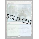 [EX]植物の聖域/Botanical Sanctum《英語》【KLD】