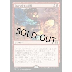 画像1: 向こう見ずな実験/Madcap Experiment《英語》【KLD】