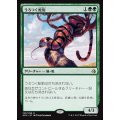 [EX+]うろつく蛇豹/Prowling Serpopard《日本語》【AKH】