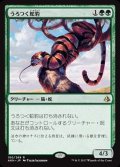 うろつく蛇豹/Prowling Serpopard《日本語》【AKH】