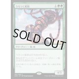 うろつく蛇豹/Prowling Serpopard《英語》【AKH】