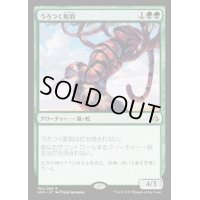[EX+]うろつく蛇豹/Prowling Serpopard《英語》【AKH】