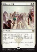 [EX+]選定された行進/Anointed Procession《日本語》【AKH】