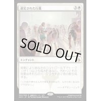 [HPLD]選定された行進/Anointed Procession《日本語》【AKH】