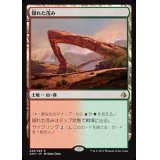 [EX+]隠れた茂み/Sheltered Thicket《日本語》【AKH】