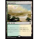 [EX+]まばらな木立ち/Scattered Groves《日本語》【AKH】