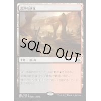 [EX+]泥濘の峡谷/Canyon Slough《日本語》【AKH】