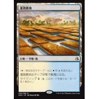 [EX]灌漑農地/Irrigated Farmland《英語》【AKH】