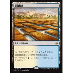 画像1: [EX]灌漑農地/Irrigated Farmland《日本語》【AKH】