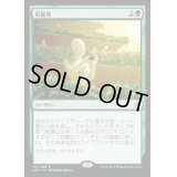 収穫期/Harvest Season《英語》【AKH】