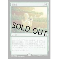 [EX+]収穫期/Harvest Season《英語》【AKH】