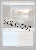 [EX+]異臭の池/Fetid Pools《日本語》【AKH】