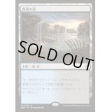 [HPLD]異臭の池/Fetid Pools《英語》【AKH】