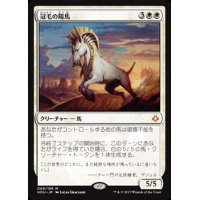 [EX+]冠毛の陽馬/Crested Sunmare《英語》【HOU】