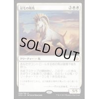冠毛の陽馬/Crested Sunmare《日本語》【HOU】