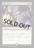 [EX]霰炎の責め苦/Torment of Hailfire《英語》【HOU】