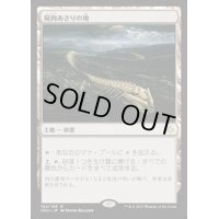 [PLD]屍肉あさりの地/Scavenger Grounds《英語》【HOU】