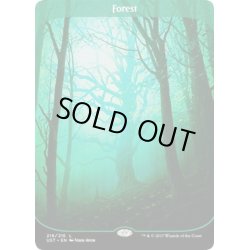 画像1: [EX]森/Forest《英語》【UST】