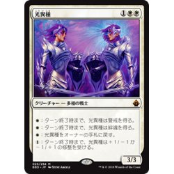 画像1: [EX+]光異種/Brightling《日本語》【BBD】